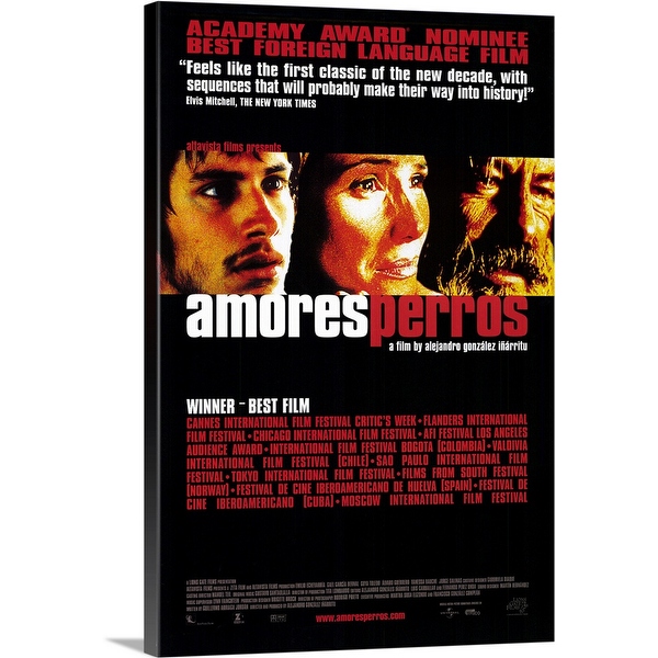 amores perros cofi amores perros cofi